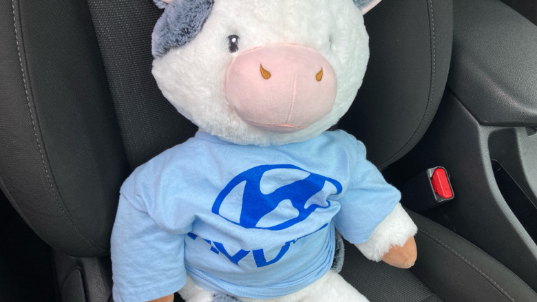 Hyundai Kona 1.0 TGDi 48V MHEV Premium 5dr Petrol Hatchback